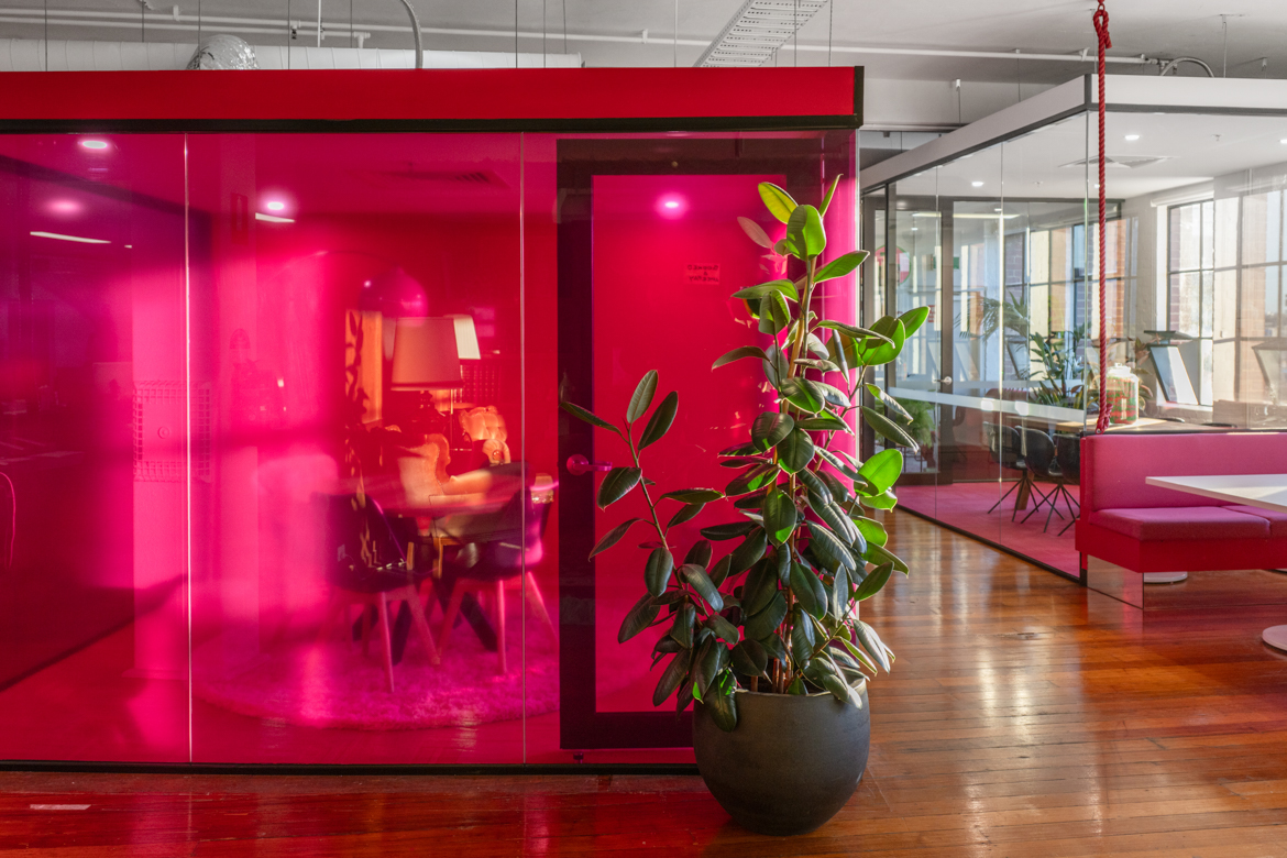 Pink theme Interior with green plant