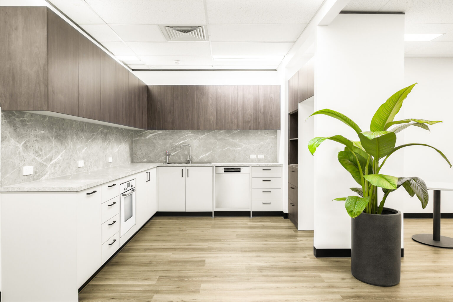 Breakout space for employees with a green plant