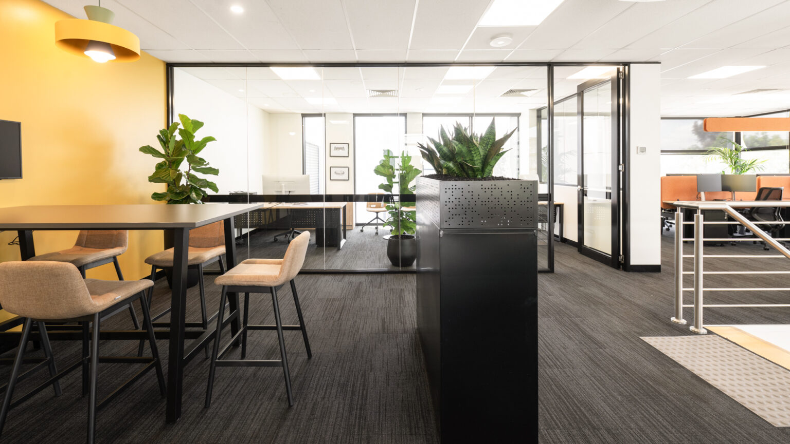 Office design space with a yellow wall and plant