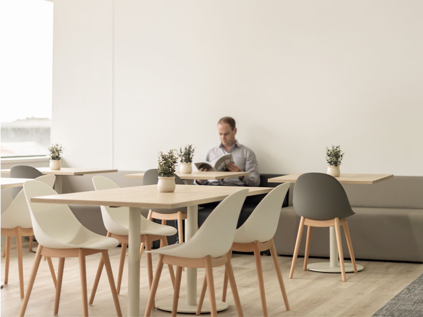 TCL Electronics fitout