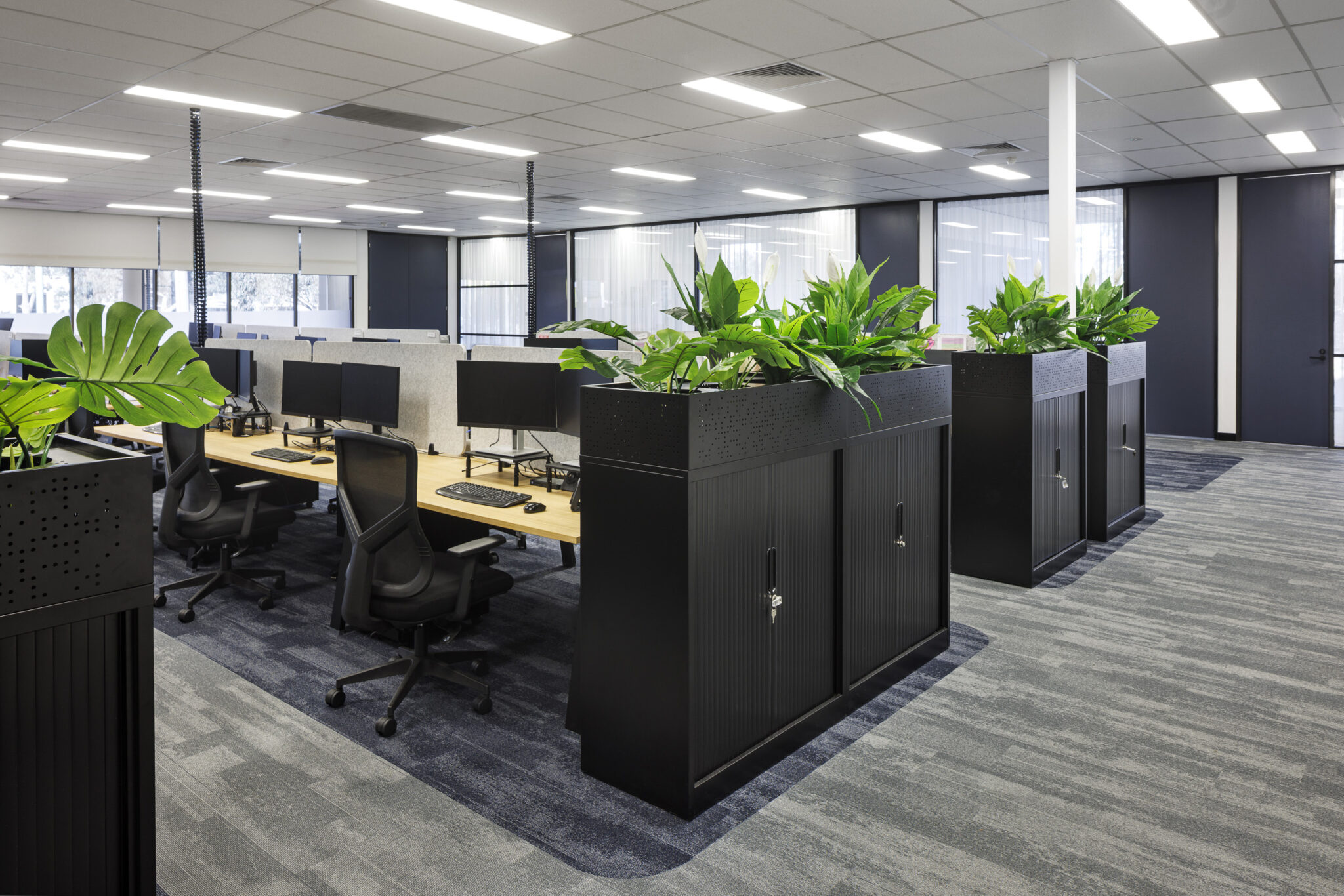 Open-plan workspace fitout highlighting modern desk configurations, abundant natural light.